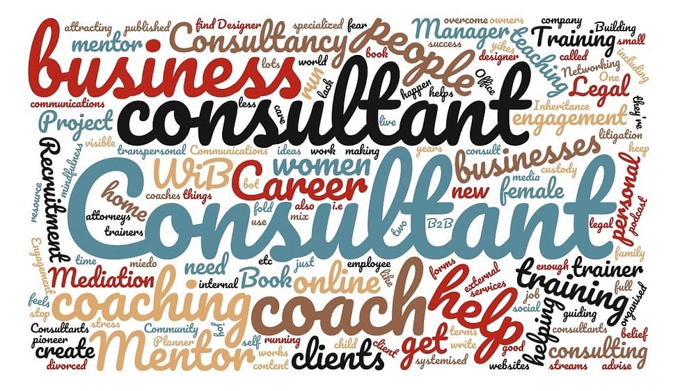 what do home based coaches or consultants do